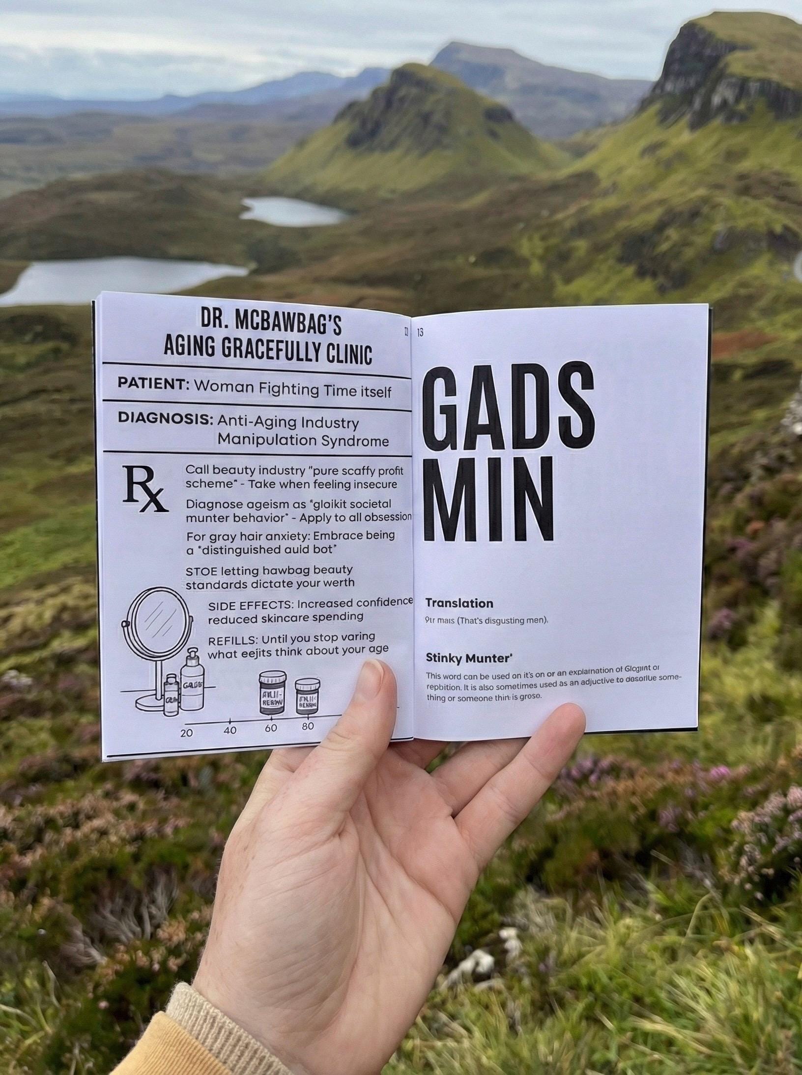 Scottish Insults Book With Translation | Funny Gift  For Scot’s| Pocket Sized Booklet